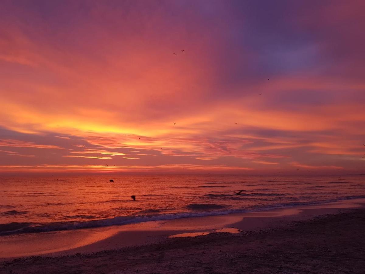 Caesar'S Studio Mamaia-Nord Екстер'єр фото